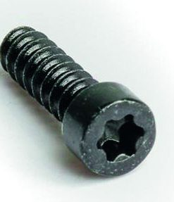 BREMSGRIFFKLEMMSCHRAUBEN MT, AB MY2015 M5X17,5, T25, SCHWARZ (10 STÜCK)