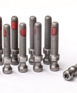 Schnellspanner-Schraube/EASY MOUNT/T25 MAGURA