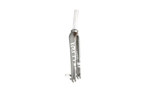 Gabel, 20', Vektron S10, Tarsus G2, Silber Disc