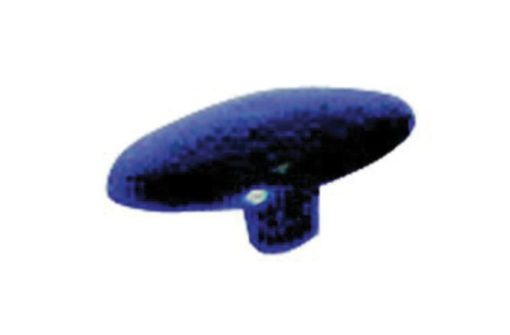 SKS Fiche de contact pour Chromoplast noir