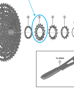 Shimano Pignon CS-LG600 15 dents spacer-type Shimano Pignon CS-LG600 15 dents spacer-type