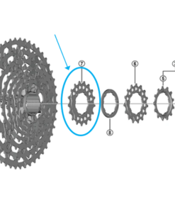 Shimano Pignon CS-LG700 17 dents Shimano Pignon CS-LG700 17 dents