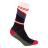 Le Patron Classic Jersey St.Raphael Socks multi 35-38 Le Patron Classic Jersey St.Raphael Socks multi 35-38