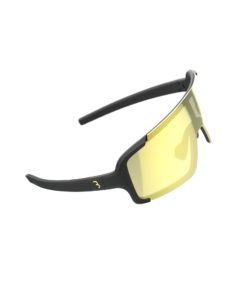 Chester PH MLC Glas gold/Rahmen schwarz matt, (verspiegelt)