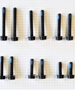 Flatmount Schraubenset HR,  für Montage FM-Zange Hinterrad(VE=1Set)