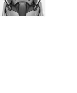 SCHEIBE KLEIN GETÖNT AK 550 PREMIUM