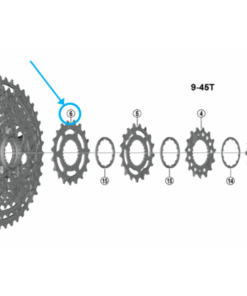 Shimano Pignon CS-M8100 19 dents Q