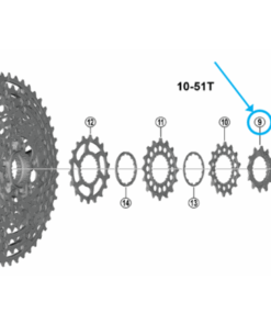Shimano Pignon CS-M9200/8200 12 dents T