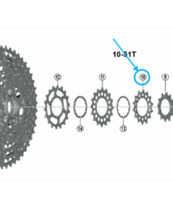Shimano Pignon CS-M9200 14 dents F