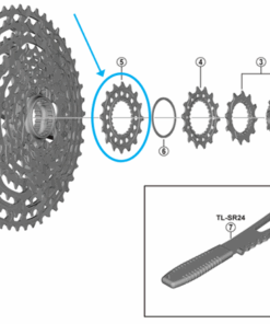 Shimano Pignon CS-M9100-12 16 dents