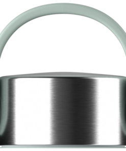 Chilly's Series 2 Bottle Loop Lichen Green