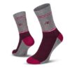 Le Patron Vintage Cyclist Socks aubergine 43-46