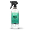 Bio-Chem BBQ Cleaner 750 ml avec atomiseur