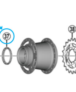 Shimano Bague à billes SG-C3001-7C 3/16"x16