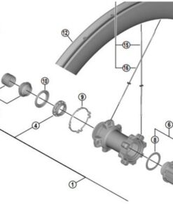 Shimano Set de cône WH-R9170 gauche