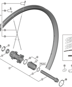 Shimano Set de cône WH-RX570 arrière gauche