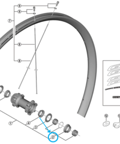 Shimano Set de cône WH-RX570 avant droite