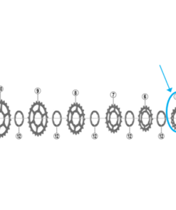 Shimano Pignon CS-HG700-11 15 dents