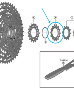 Shimano Pignon CS-M9100-12 14 dents