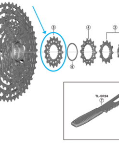 Shimano Pignon CS-M9100-12 16 dents