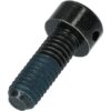 Shimano Vis de fixation M6x15 mm