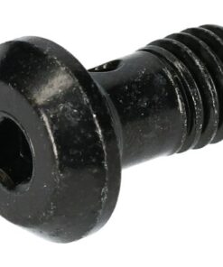 Shimano Banjo-boulon BR-M8100