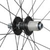 Shimano Body WH-RX880 Micro Spline