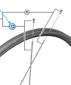 Shimano Rayon WH-RX180-TL-R12 288mm arrière avec tête de rayon