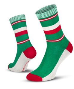 Le Patron Classic Jersey Bartali Socks italian green 43-46