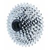 11 RD X9 10SP LONG CAGE ASSY GRY