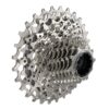 Cassette XG-1250 D1 10-36 Rival AXS 12-vit