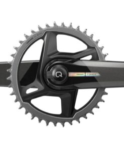 Powermeter Force 1x D2 172.5mm 40Z DUB, Direct Mount, Carbon, Grey