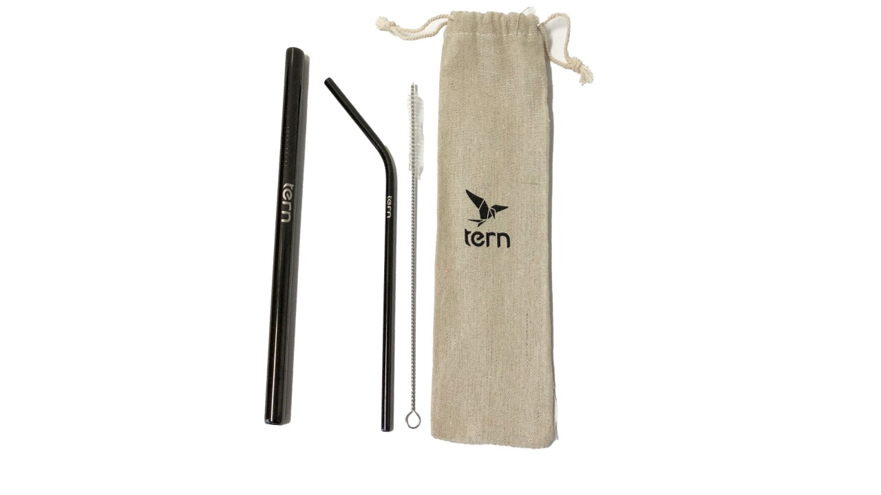 Tern Stainless Steel Reusable Straw Tern Tern Stainless Steel Reusable Straw Tern