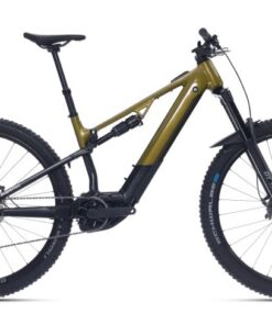 eXF 9049 B 29x17.5'(M) gloss olive/matt